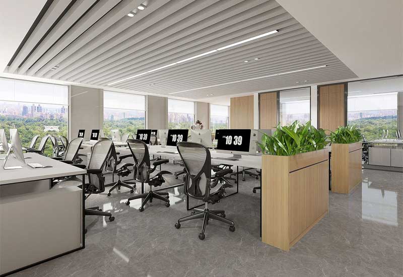 鄭州辦公室裝修設(shè)計(jì)的綠植種類：耐陰與易養(yǎng)護(hù)品種